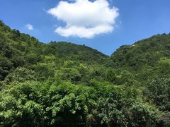 -武汉姚家山旅游景区