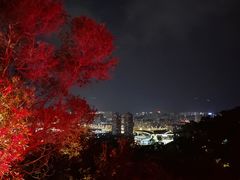 -金鸡山公园