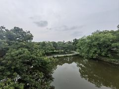 -江心屿景区
