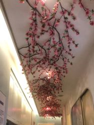 -伊然美产后恢复中心(海珠妇幼店)