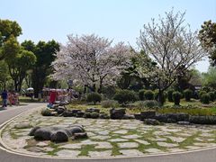 -堤角公园