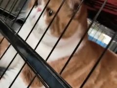 景观位-臻鲜燕海鲜融合餐厅(金陵style店)