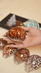 -青岛香格里拉·氣水疗中心