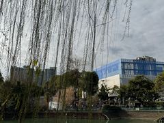 -成都市活水公园
