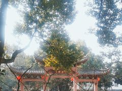 -杭州半山国家森林公园