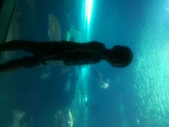 -洛阳龙门海洋馆