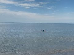 -金梦海湾浴场