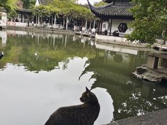 -西园戒幢律寺
