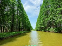 -黄海国家森林公园