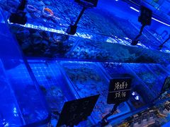 -渔民船说·北塘海鲜·天津菜·海肠捞饭(北塘古镇店)