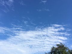 -怪坡茶馆