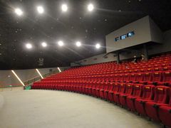 -保利国际影城(保利文化广场店)