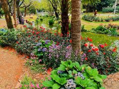 -人民公园(罗湖区)