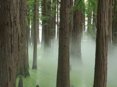 -东湖落雁景区