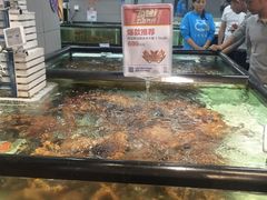 -盒马渔市餐厅