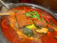 -探鱼·鲜青椒爽麻烤鱼(领展购物广场店)