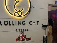 -滚猫咖啡·猫咖·猫友好撸猫(未来城店)