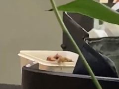-龙旗健身(龙旗购物中心店)