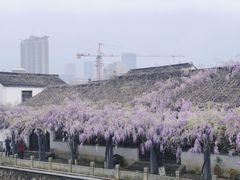 -青果巷历史文化街区