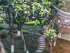 -苏州东山雕花楼宾馆