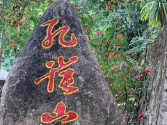 -西双版纳原始森林公园