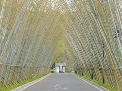 -婺源梦里老家大型山水实景演出