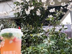 -鸡鸣赐茶(鸡鸣寺路店)