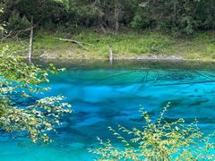 -西姆山居酒店(九寨沟沟口店)