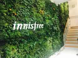 -悦诗风吟innisfree