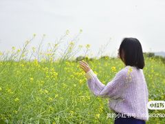 -光明小镇欢乐田园