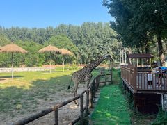 -北京野生动物园