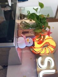 -尚艺造型.剪烫染.接发