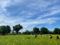 -长白岛森林公园