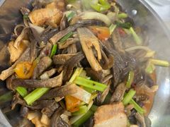 -史记安仁鱼头(浙闽赣食用菌交易中心店)