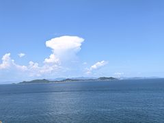 -杨梅坑