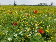 -新疆那拉提国家旅游度假区