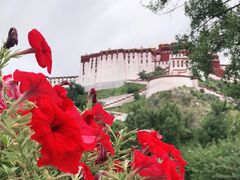 -宗角禄康公园