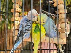 -一品烧农庄·佛山本地特色菜