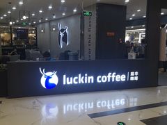 -凯德MALL(望京店)