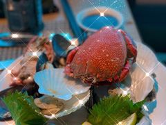 -海棠湾洲际-涛·海底餐厅·美人鱼·自助餐·海底隧道