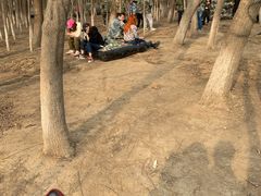 -亲兄弟真人CS团建拓展基地