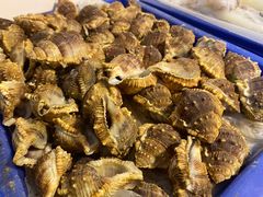 -金砂阿洲鱼册店