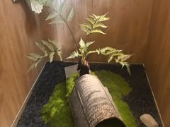 -7017浙菜•建德味(中财店)