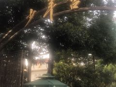 -中国福利会少年宫