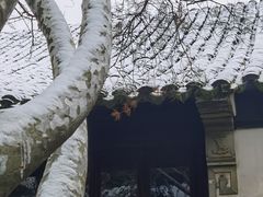 -留园