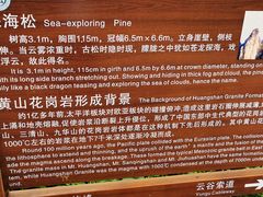 -黄山温泉国际旅游度假区