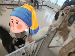 -共舞时光猫咖·狗咖(新街口店)