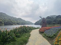 -广州市石门国家森林公园