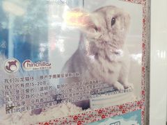 -龙猫仔乐园(惠福东路店)