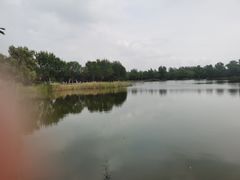 -永定河休闲森林公园